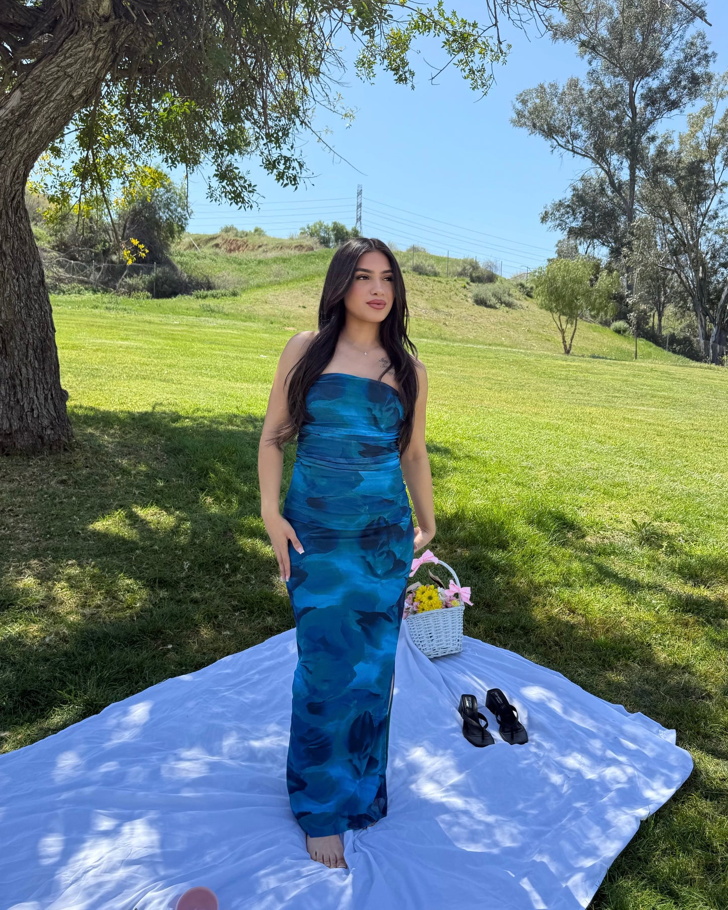 Blue Bloom Dress