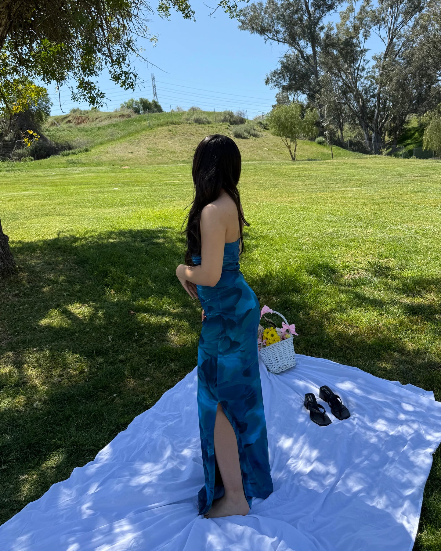 Blue Bloom Dress
