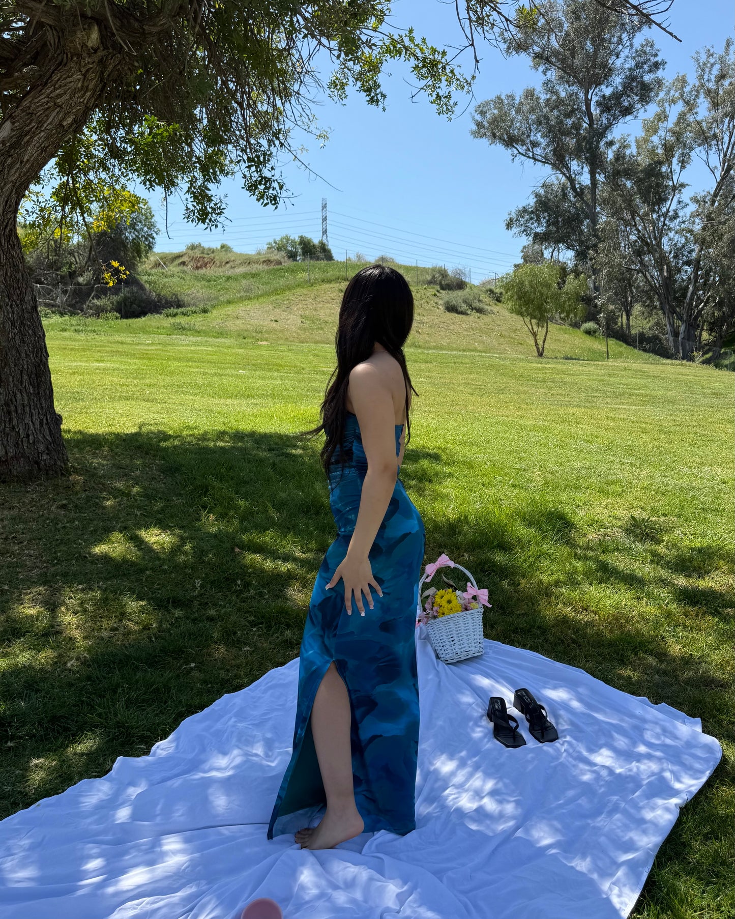 Blue Bloom Dress